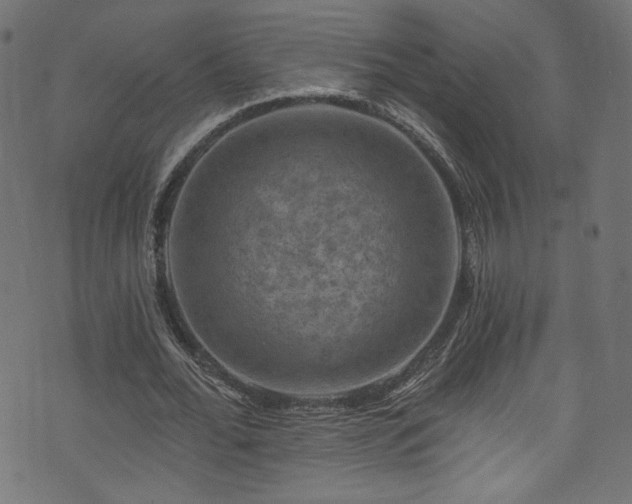 X0000074040676200608281445