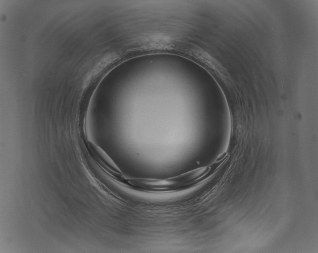 X0000074040677200608281445