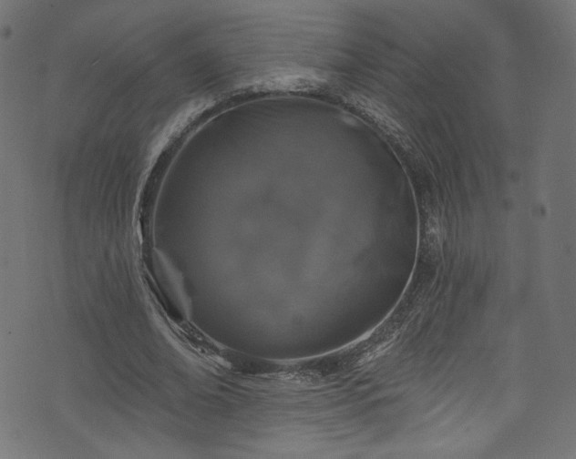 X0000074040678200608281445