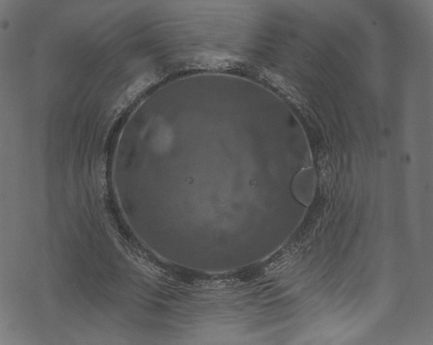 X0000074040679200608281445