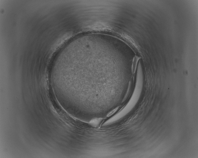 X0000074040680200608281445