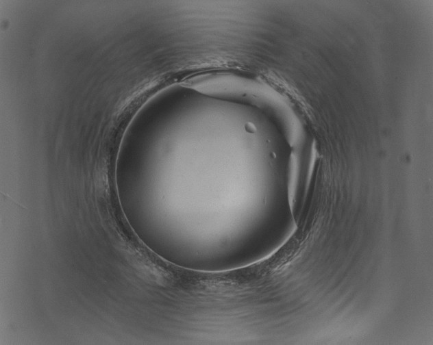 X0000074040681200608281445