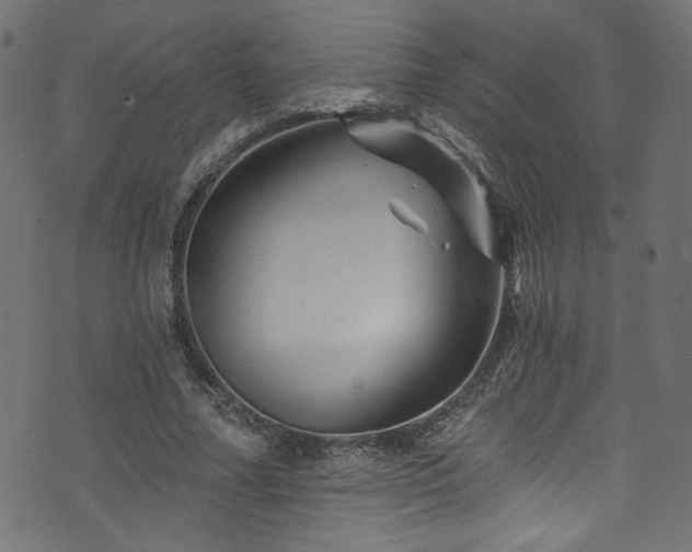 X0000074040682200608281445