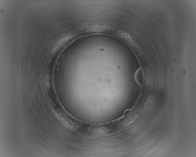 X0000074040683200608281445