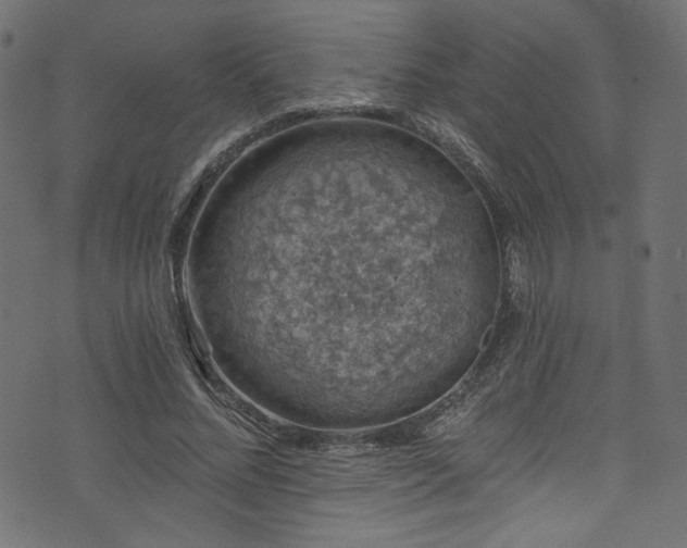 X0000074040684200608281445