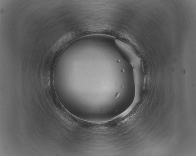 X0000074040685200608281445