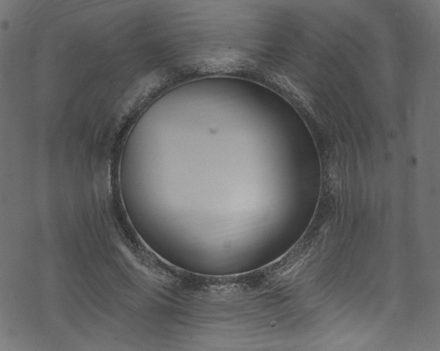 X0000074040686200608281445