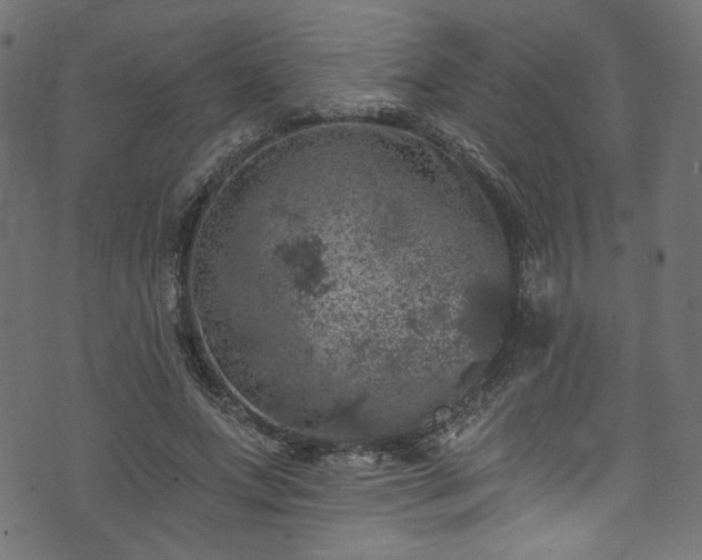 X0000074040687200608281445