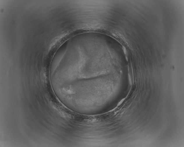 X0000074040688200608281445