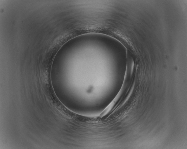 X0000074040689200608281445