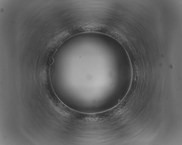 X0000074040690200608281445