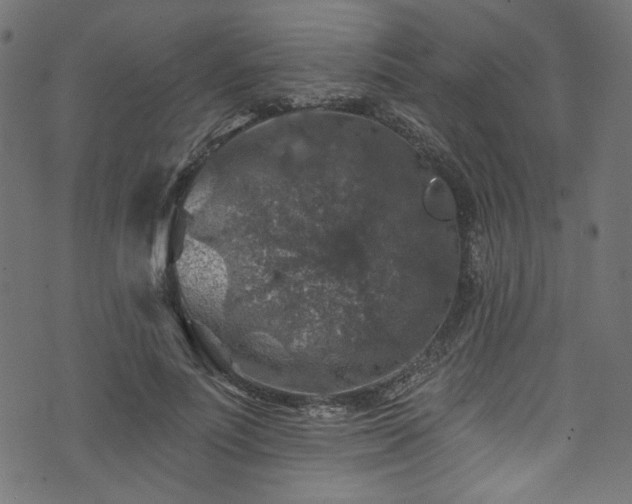 X0000074040691200608281445