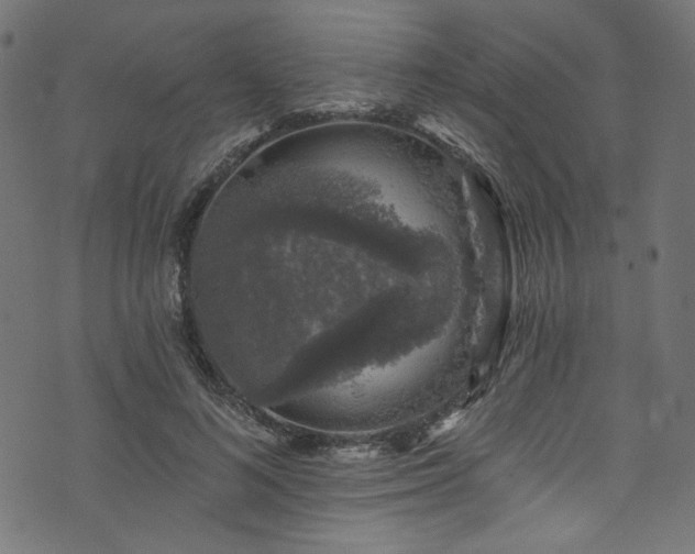 X0000074040692200608281445