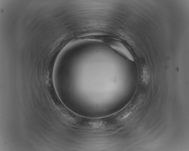 X0000074040693200608281445