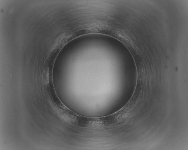 X0000074040694200608281445