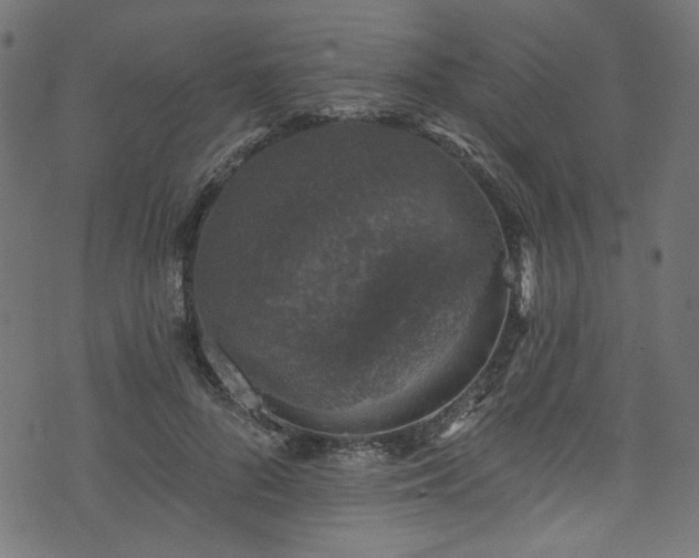 X0000074040696200608281445