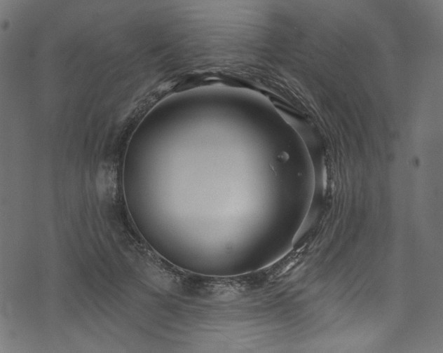 X0000074040697200608281445