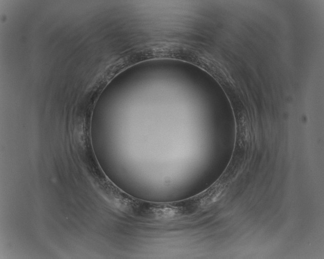 X0000074040698200608281445