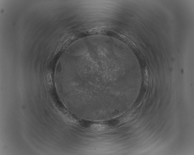 X0000074040699200608281445