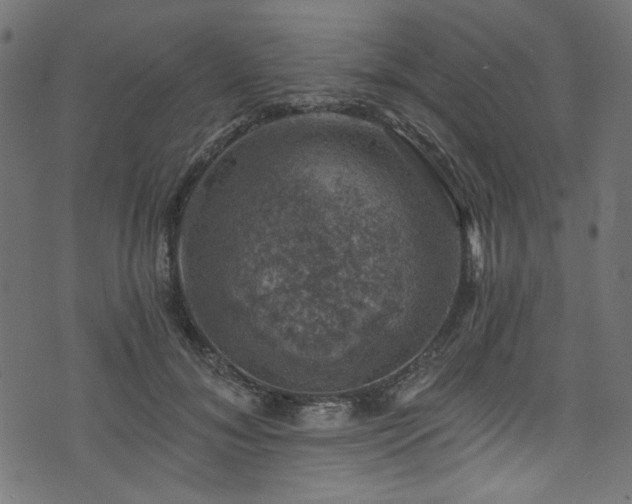 X0000074040700200608281445