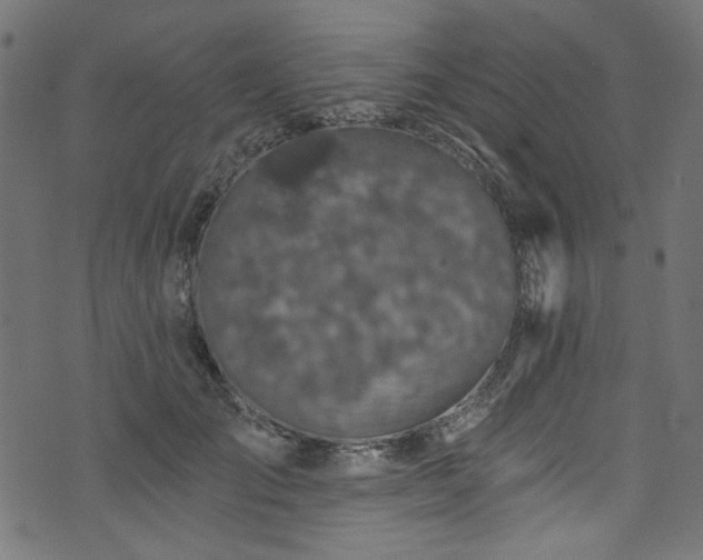 X0000074040701200608281445