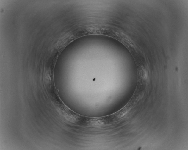 X0000074040702200608281445