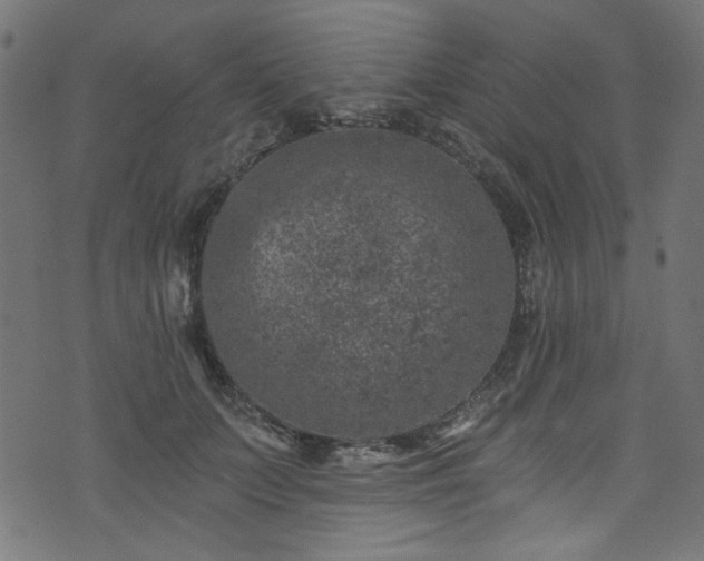 X0000074040703200608281445