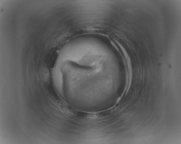 X0000074040704200608281445