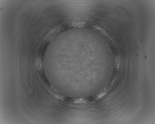 X0000074040705200608281445