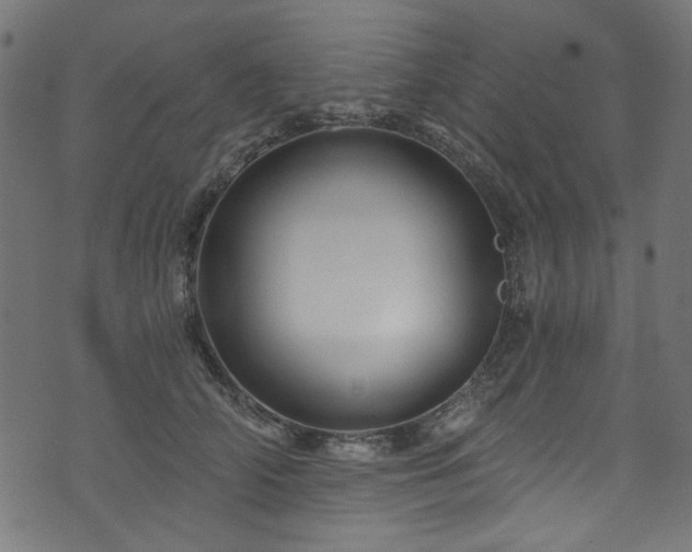 X0000074040706200608281445