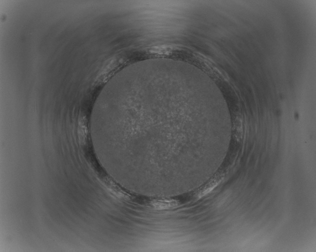 X0000074040707200608281445