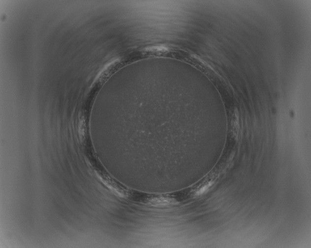 X0000074040708200608281445