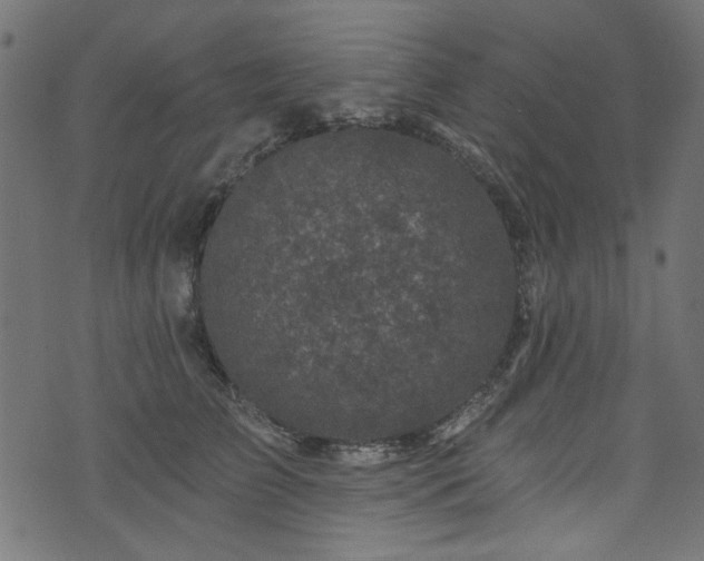 X0000074040709200608281445