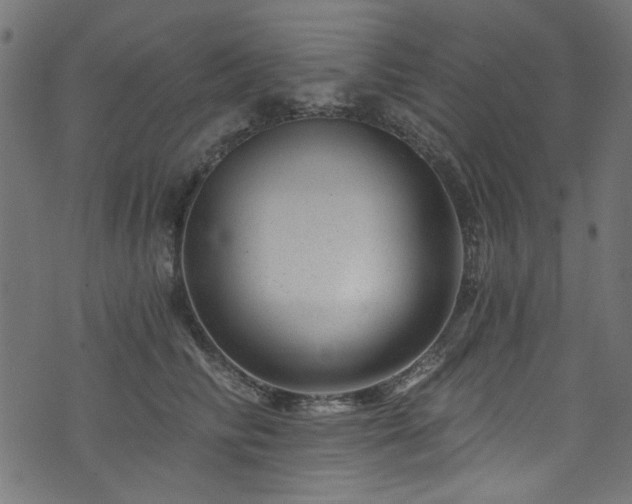 X0000074040710200608281445