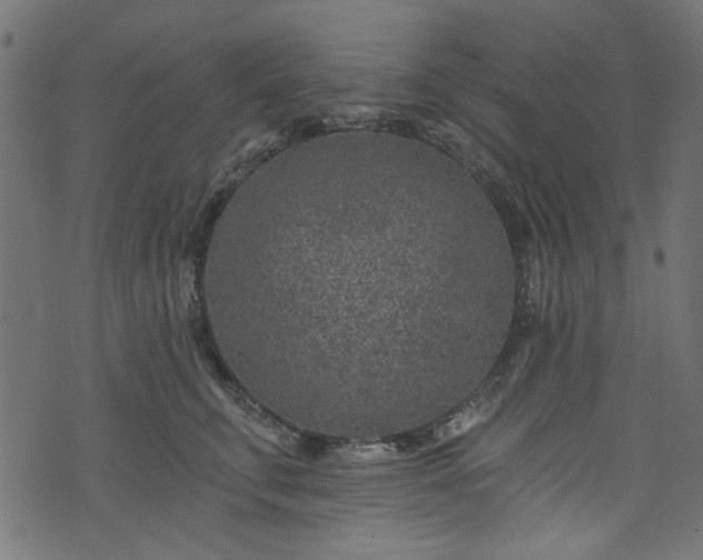 X0000074040711200608281445