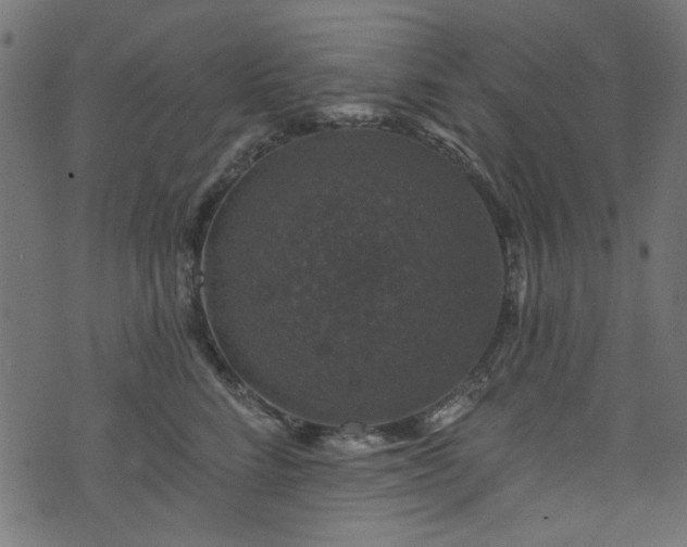 X0000074040712200608281445