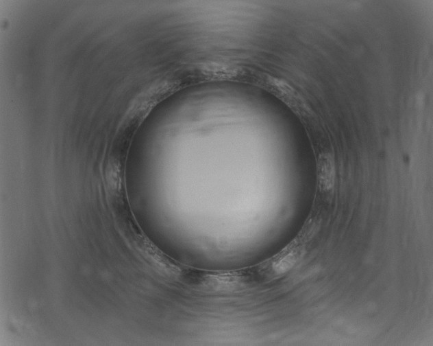 X0000074040713200608281445