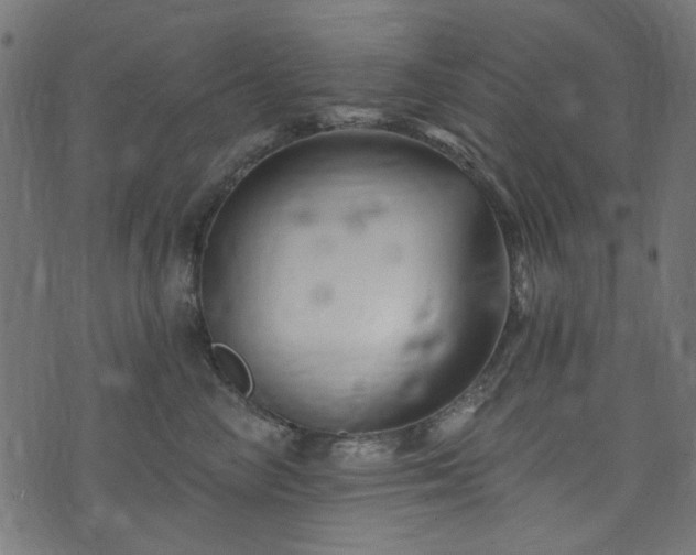 X0000074040714200608281445