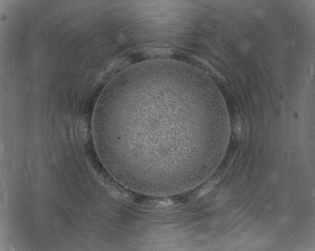 X0000074040715200608281445