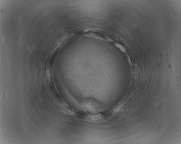 X0000074040716200608281445