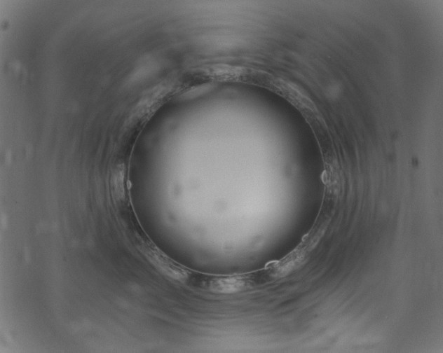 X0000074040717200608281444