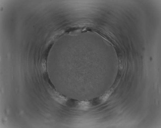 X0000074040718200608281444