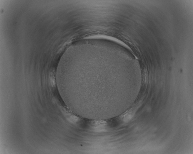 X0000074040719200608281444