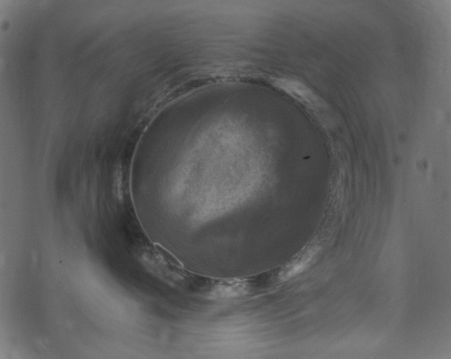 X0000074040720200608281444