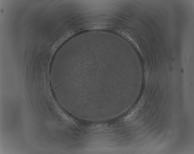 X0000074040721200608281444