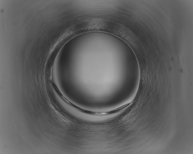 X0000074040722200608281444