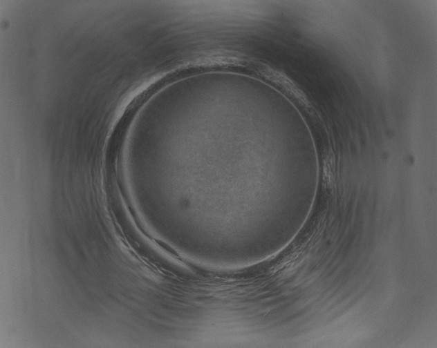 X0000074040724200608281444