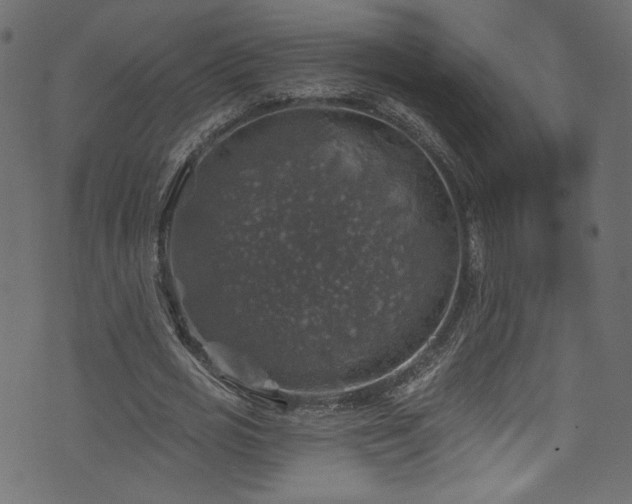 X0000074040725200608281444