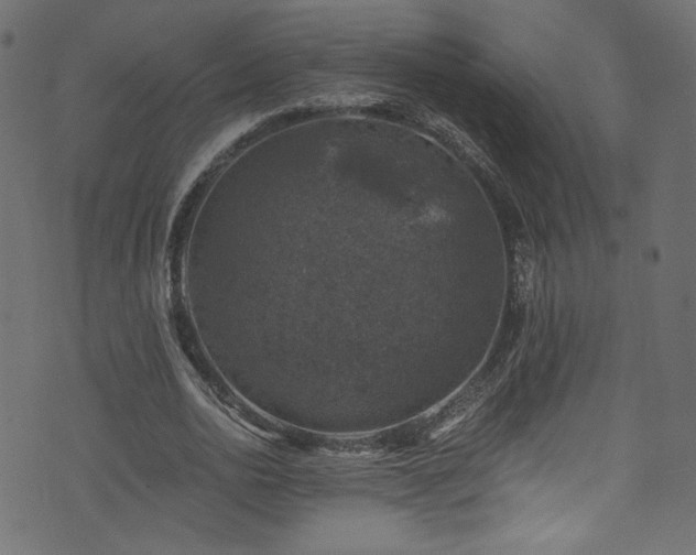 X0000074040726200608281444