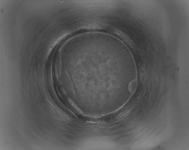 X0000074040727200608281444